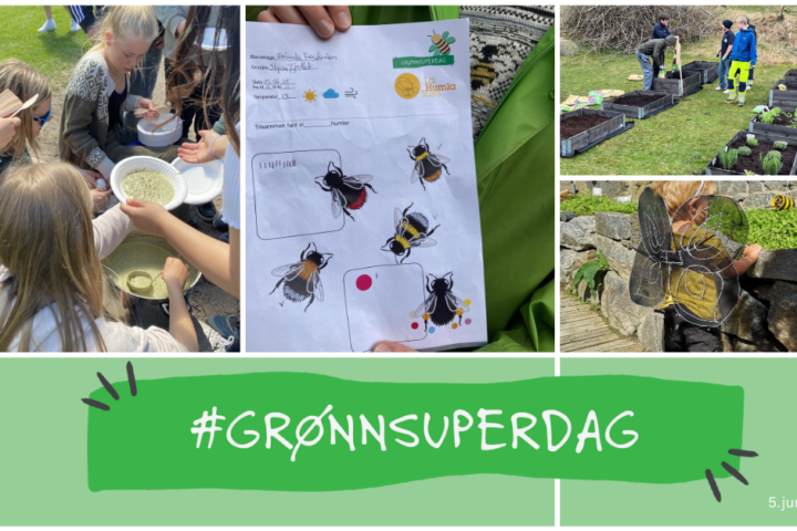 #Grønnsuperdag 5. juni