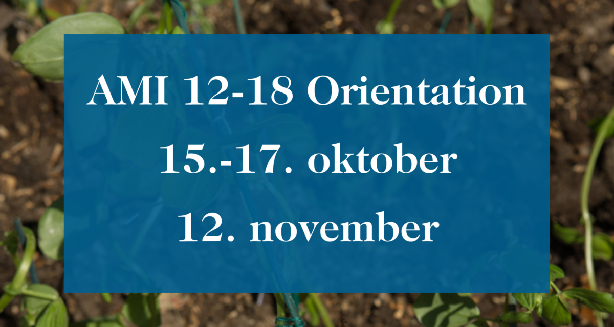 AMI 12-18 Orientation kurs