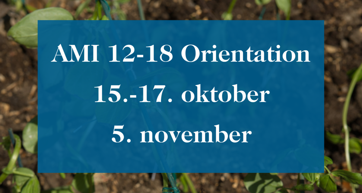 AMI 12-18 Orientation kurs